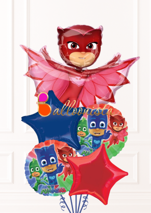 PJ Mask Bouquet
