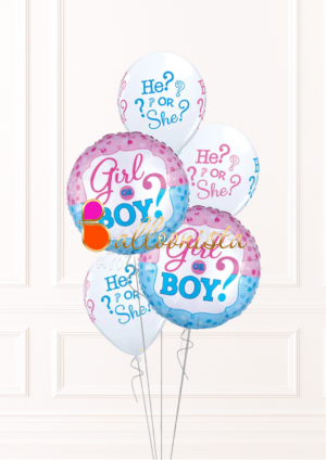 Baby Shower / Gender reveal Balloons