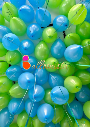 latex Helium Balloons (Indoor)